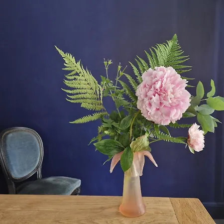 D'hote Dans Maison De Maitre Accommodatie bij particulieren *
